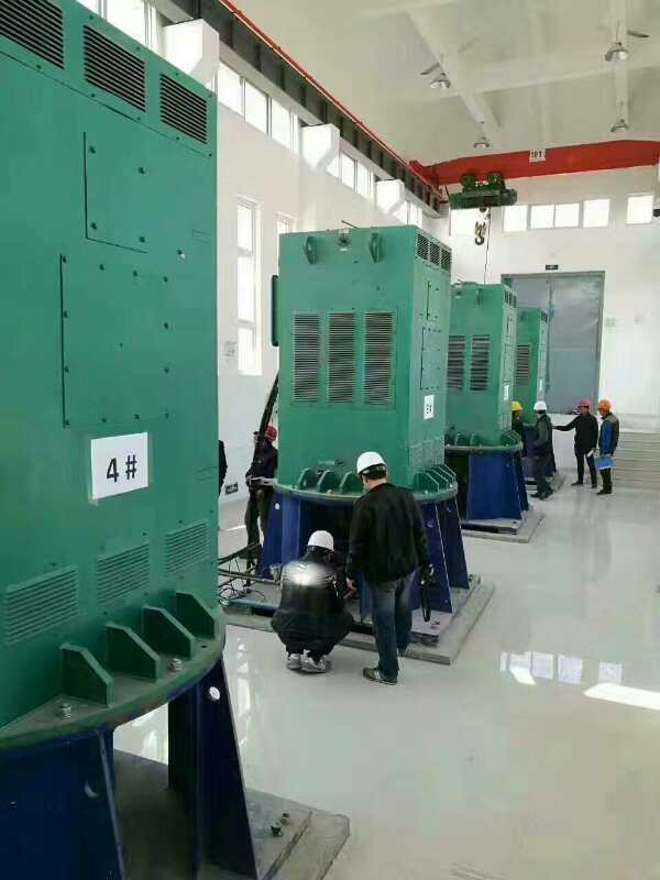阿荣某污水处理厂使用我厂的立式高压电机安装现场